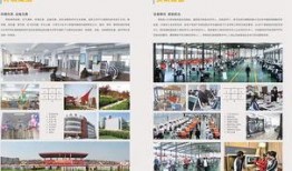 凯文学校最新招生爆料,揭秘热门招生政策与独家优势