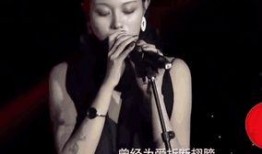 汪峰妻子爆料视频播放下载,揭秘事件背后真相